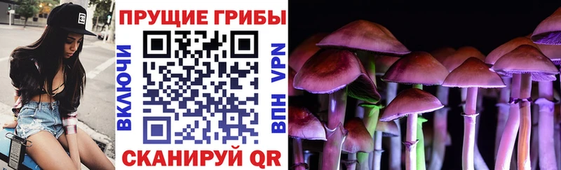Псилоцибиновые грибы Magic Shrooms  Полевской 