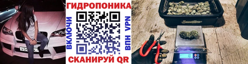 Бошки Шишки марихуана Полевской